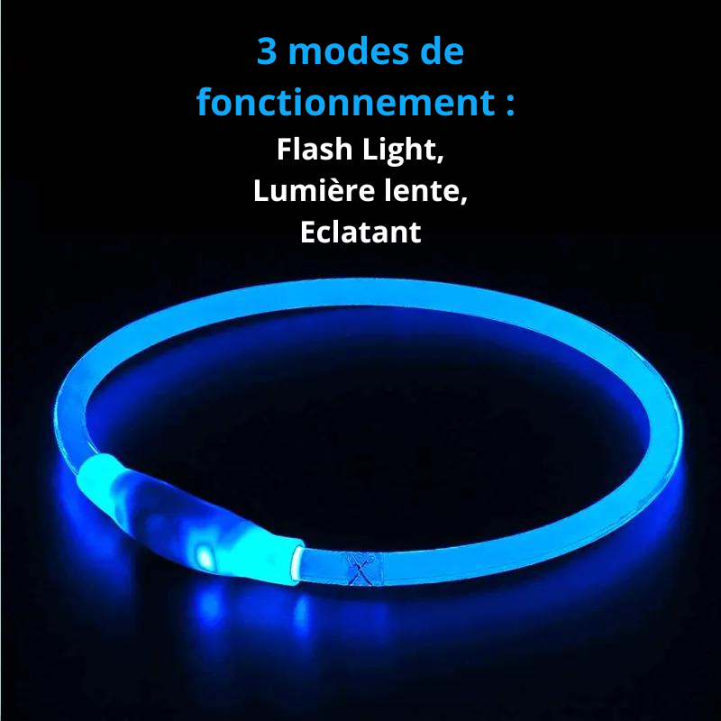 Collier lumineux pour Chiens