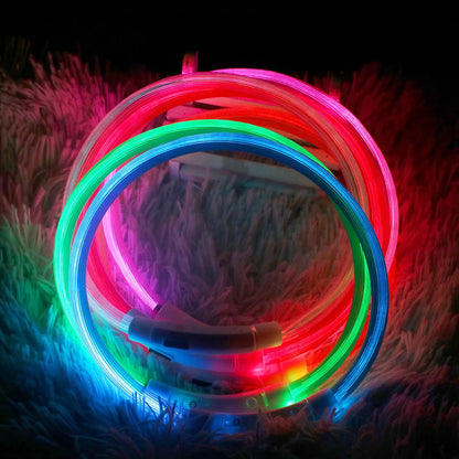 Collier lumineux pour Chiens