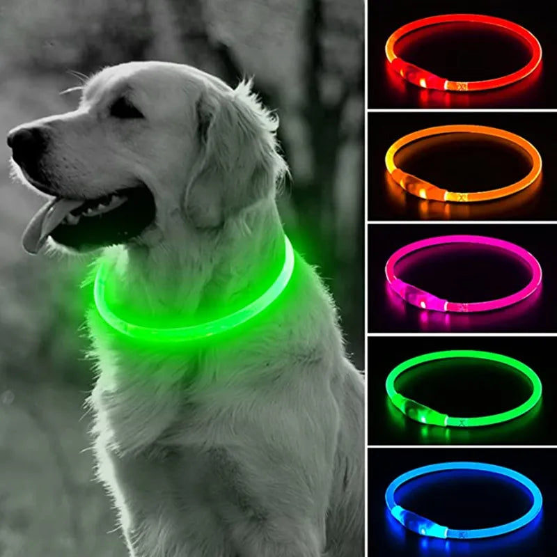 Collier lumineux pour Chiens