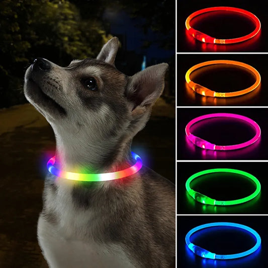 Collier lumineux pour Chiens